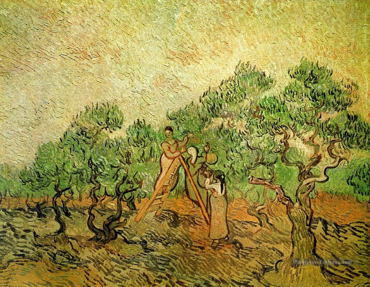 Cueillette d’olives 3 Vincent van Gogh Peintures à l'huile
